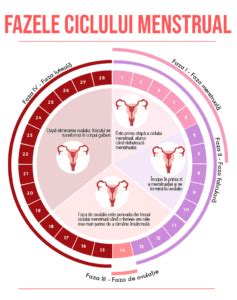 cauze ale intarzierii menstruatiei|De ce întârzie menstruația (Ciclu Menstrual): Cauze, Simptome și ...